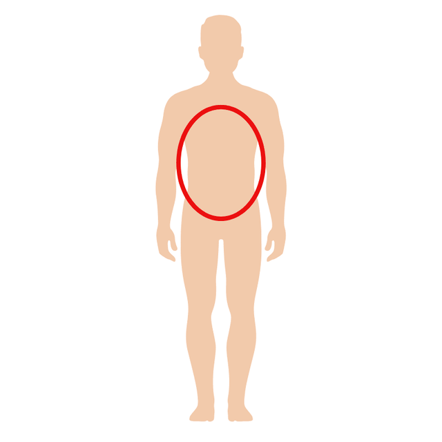 Tubebandage til overkrop - 10 m